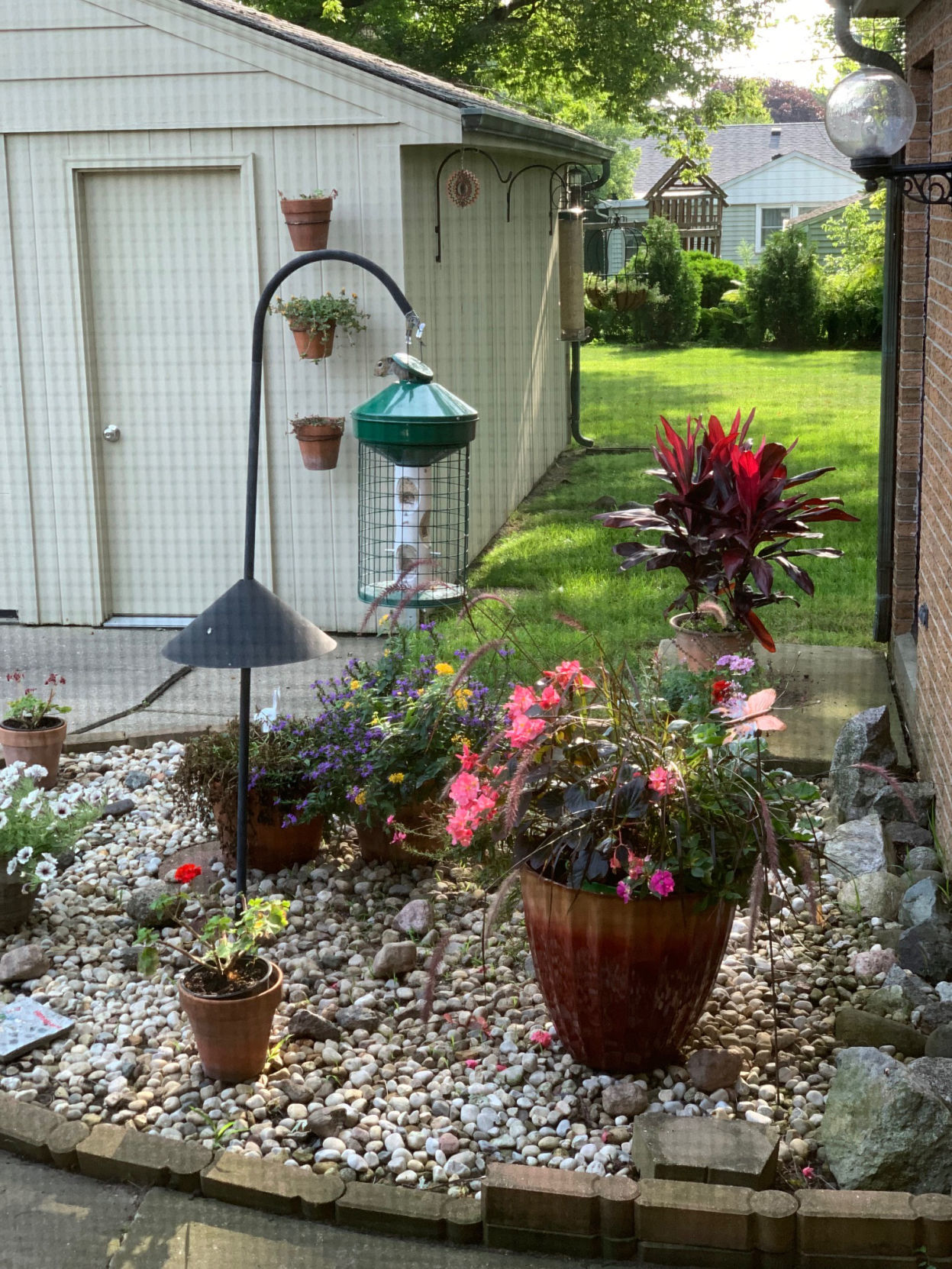Evelyn Lepp: Squirrel in feeder